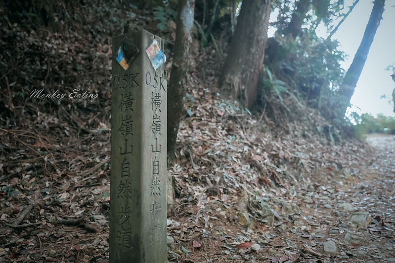 DSCF2798