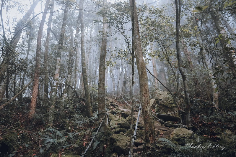 DSCF2873