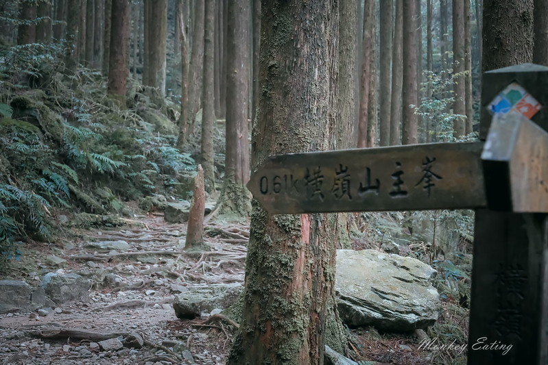 DSCF2849