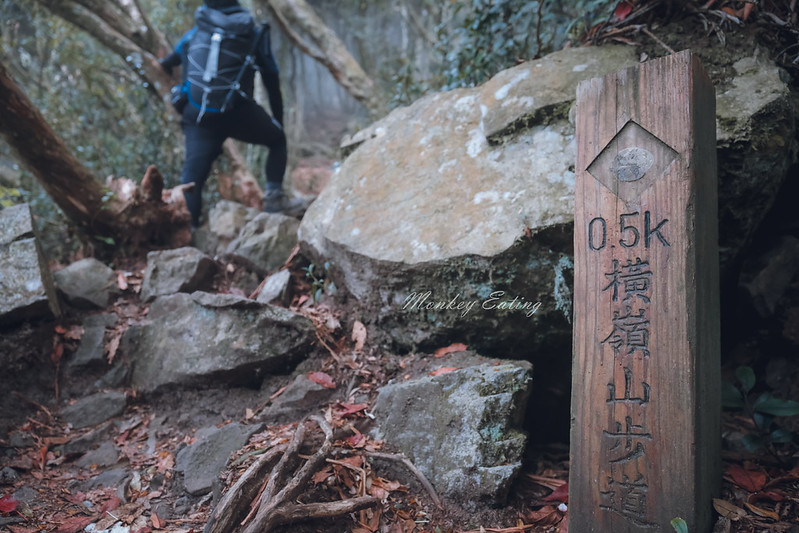 DSCF2905