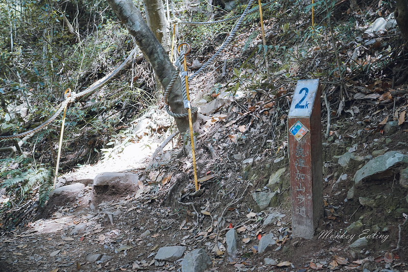 DSC04637