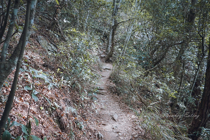 DSC04622