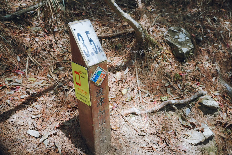 DSC04684