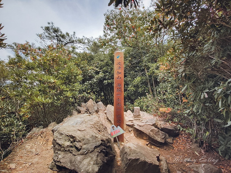20210502波津加山_210502_9