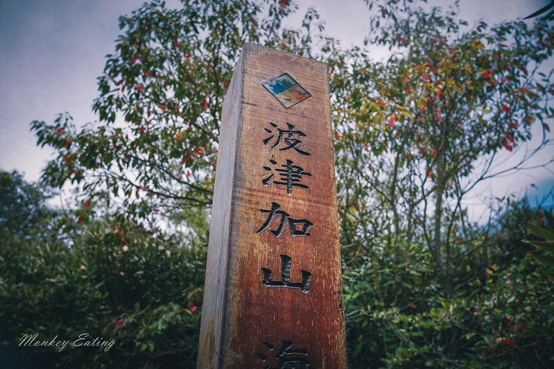 DSC04695