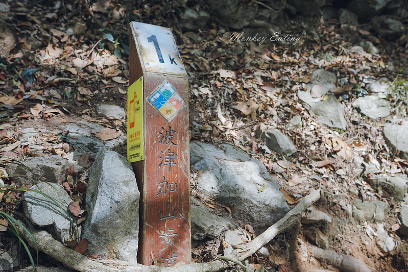 DSC04613