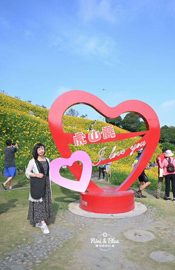 彰化花壇虎山巖金針花 停車門票32