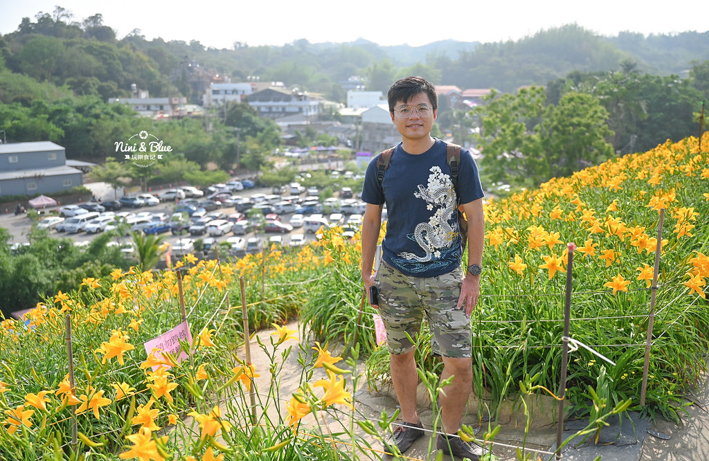 彰化花壇虎山巖金針花 停車門票26