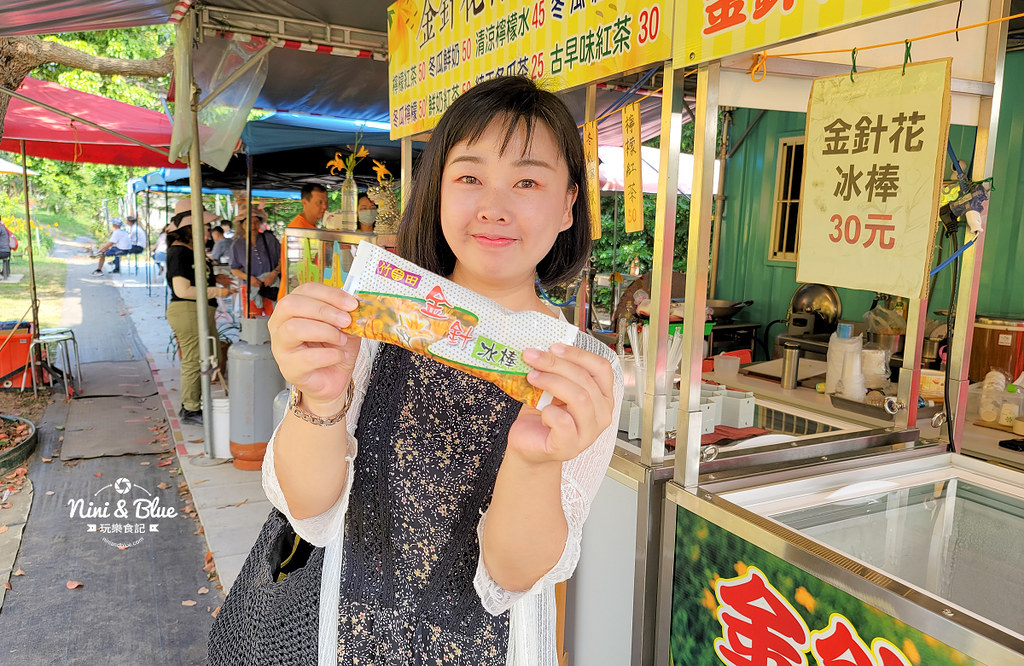 彰化花壇虎山巖金針花 停車門票13