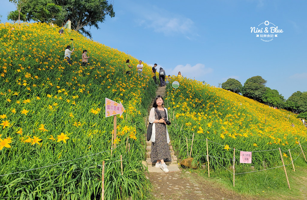 彰化花壇虎山巖金針花 停車門票08