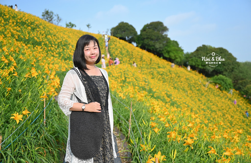 彰化花壇虎山巖金針花 停車門票17