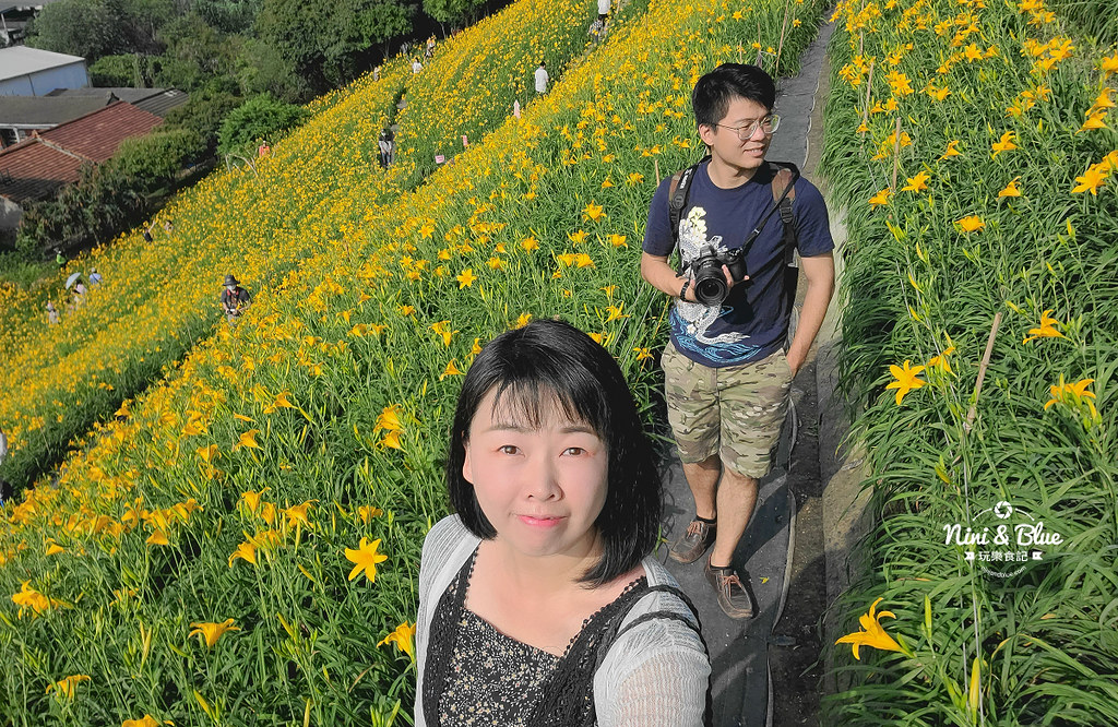 彰化花壇虎山巖金針花 停車門票05