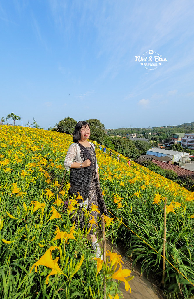 彰化花壇虎山巖金針花 停車門票04
