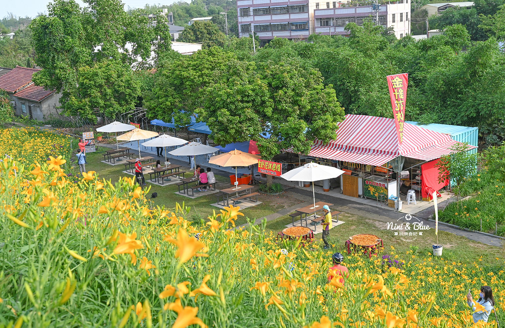 彰化花壇虎山巖金針花 停車門票16