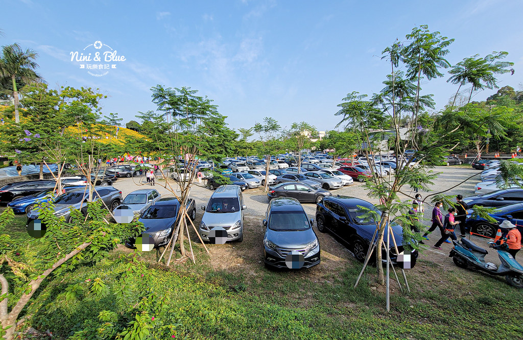 彰化花壇虎山巖金針花 停車門票02