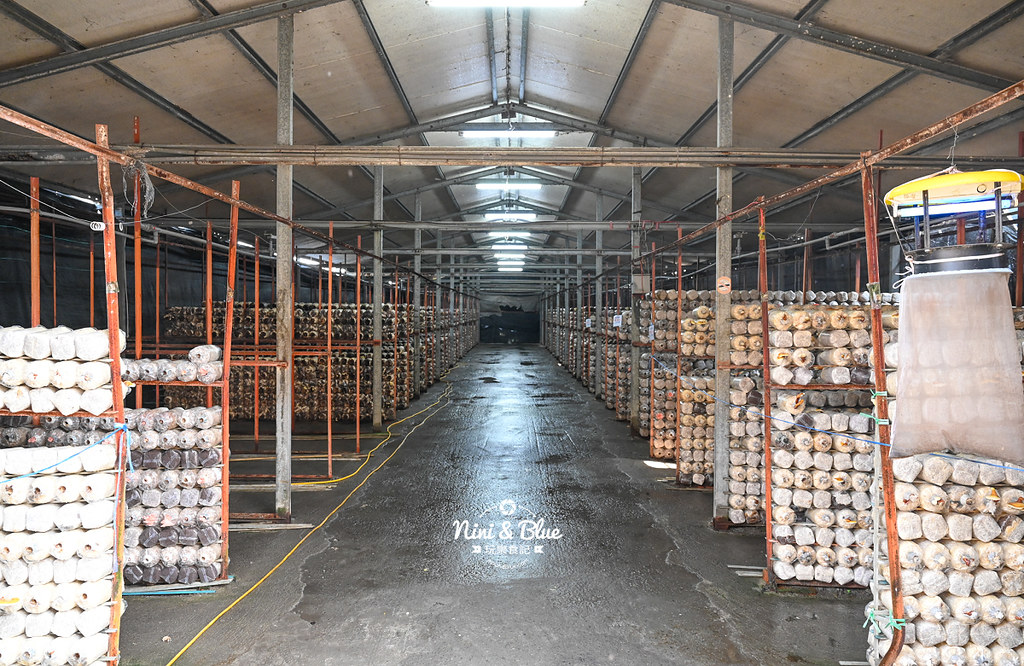 豐年靈芝菇類生態農場.埔里景點14