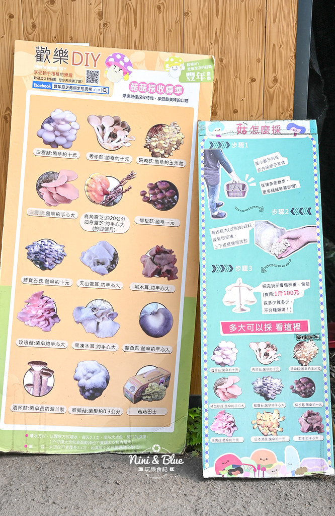 豐年靈芝菇類生態農場.埔里景點10