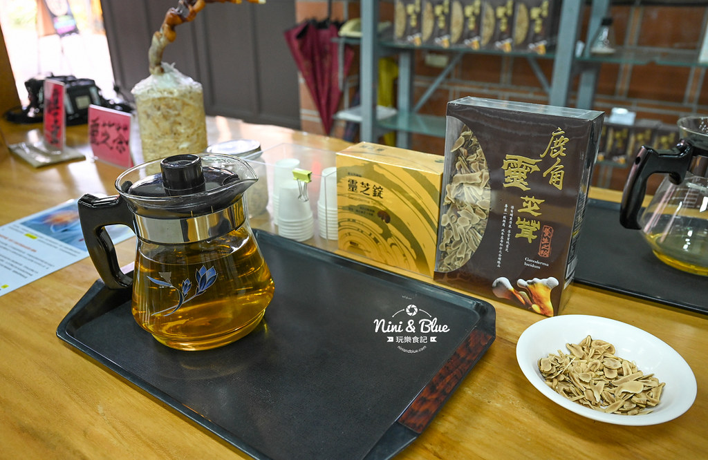 豐年靈芝菇類生態農場.埔里景點30