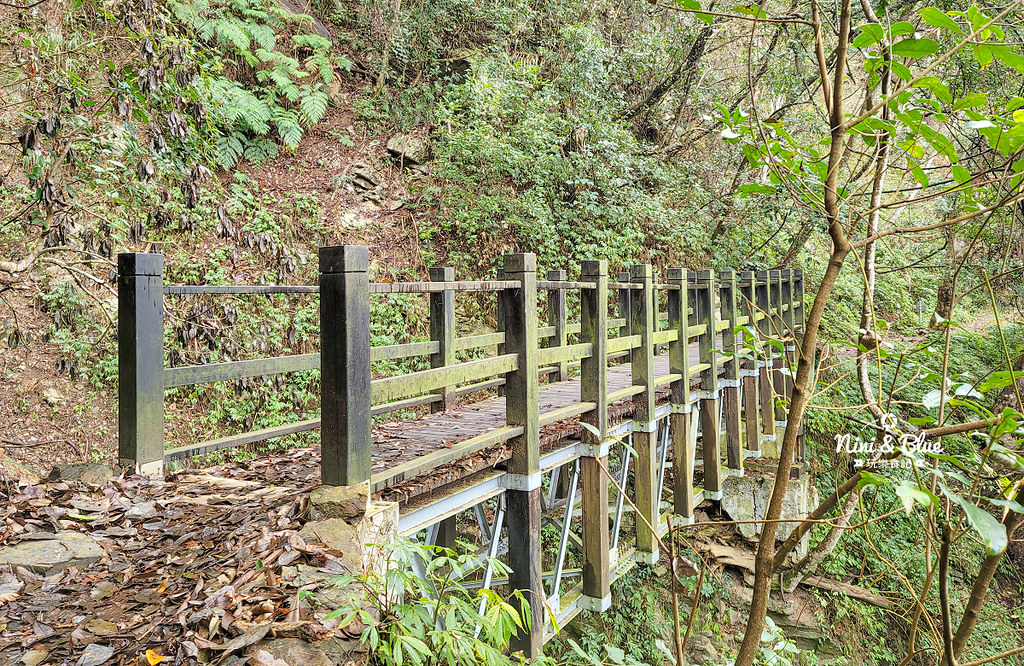 八仙山 台中登山步道 谷關景點23 八仙山 台中登山步道 谷關景點23