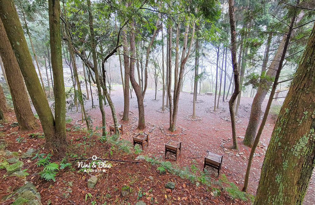 八仙山 台中登山步道 谷關景點12 八仙山 台中登山步道 谷關景點12