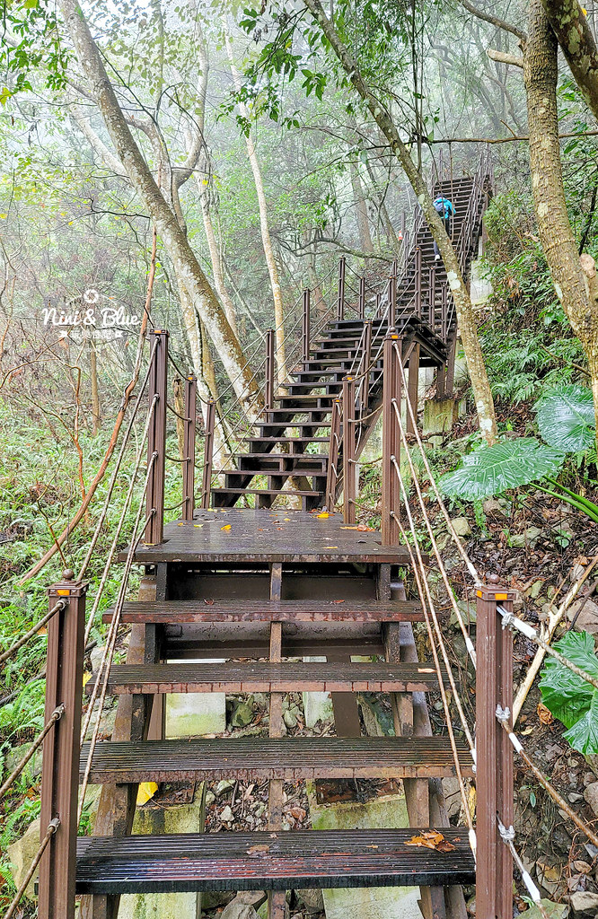 八仙山 台中登山步道 谷關景點07 八仙山 台中登山步道 谷關景點07