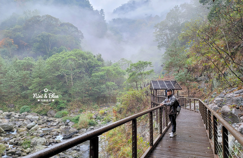八仙山 台中登山步道 谷關景點04