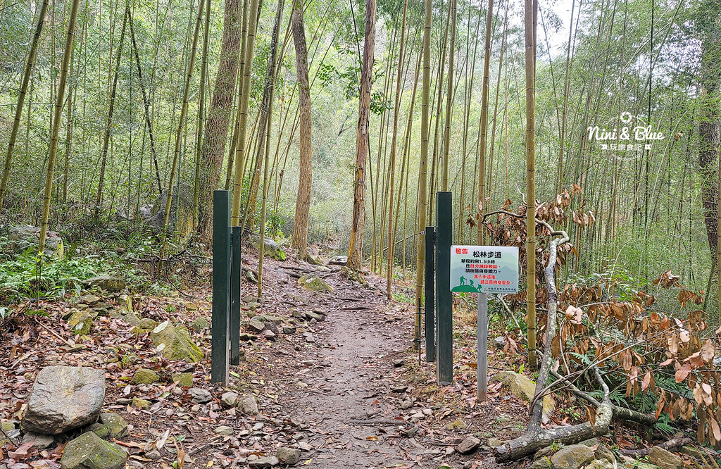 八仙山 台中登山步道 谷關景點25 八仙山 台中登山步道 谷關景點25