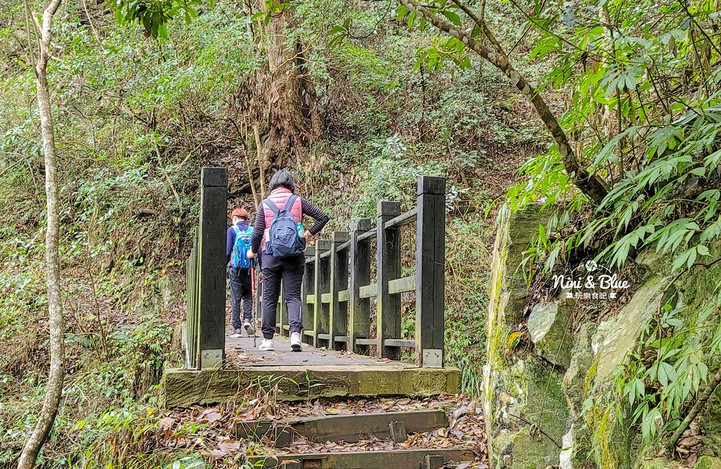 八仙山 台中登山步道 谷關景點22 八仙山 台中登山步道 谷關景點22