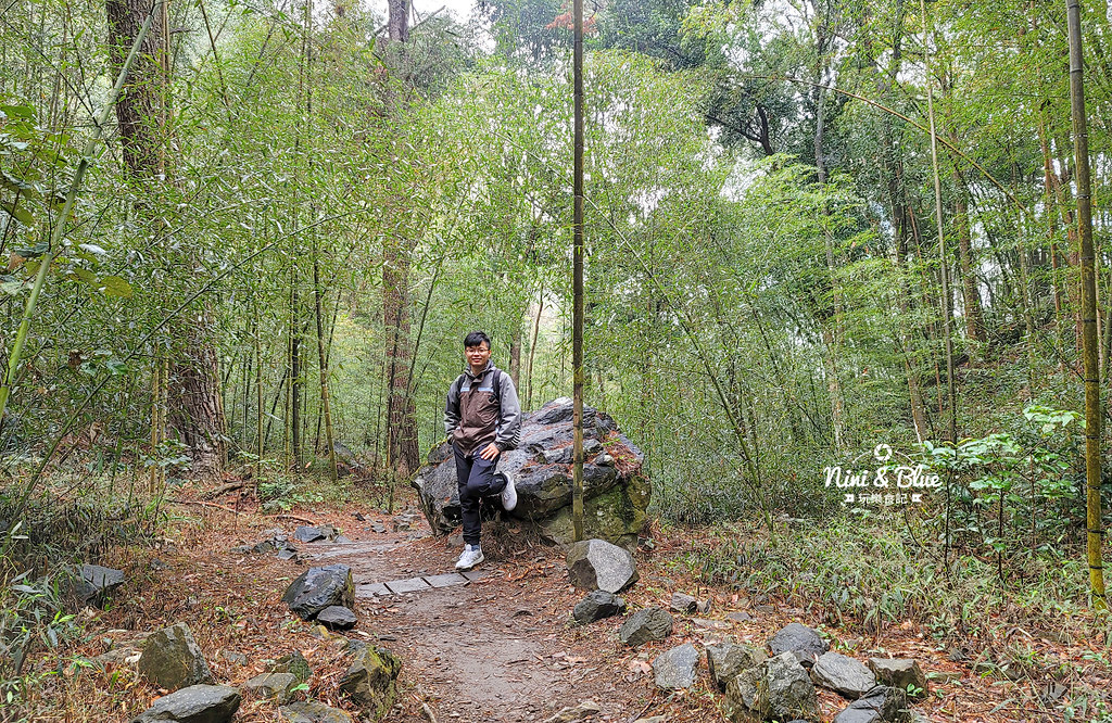 八仙山 台中登山步道 谷關景點20 八仙山 台中登山步道 谷關景點20