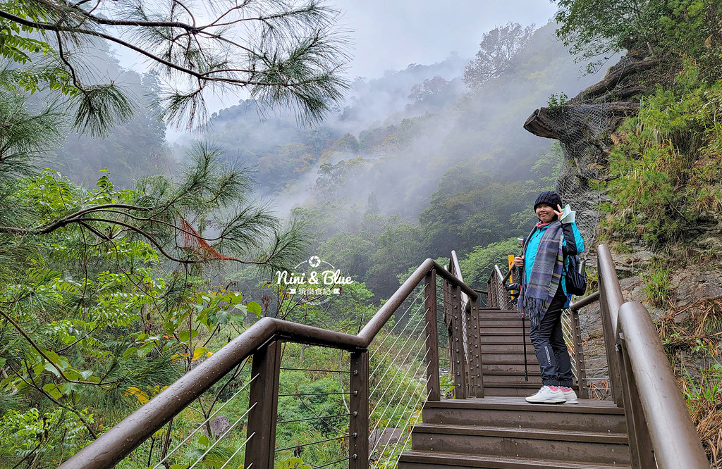八仙山 台中登山步道 谷關景點06 八仙山 台中登山步道 谷關景點06