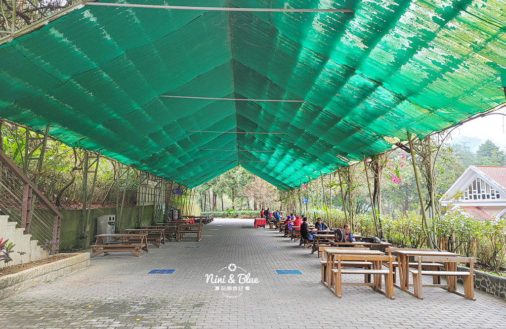 八仙山 台中登山步道 谷關景點31 八仙山 台中登山步道 谷關景點31