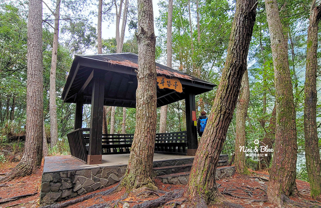 八仙山 台中登山步道 谷關景點19 八仙山 台中登山步道 谷關景點19