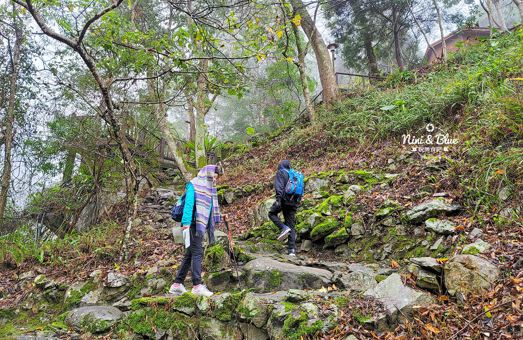 八仙山 台中登山步道 谷關景點02 八仙山 台中登山步道 谷關景點02