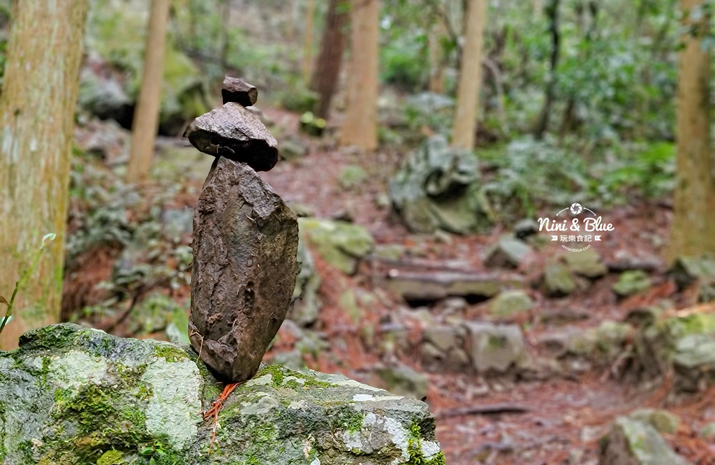 八仙山 台中登山步道 谷關景點21