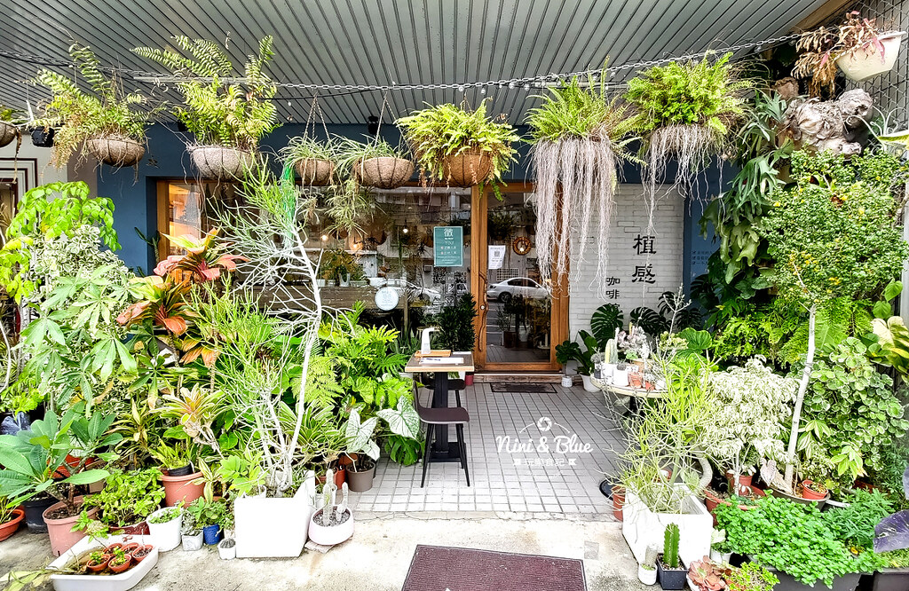 植感咖啡.苗栗咖啡10