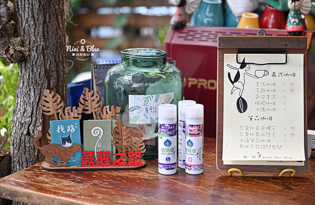 蕨醒之路 台中鹿角蕨 觀葉植物21 蕨醒之路 台中鹿角蕨 觀葉植物21