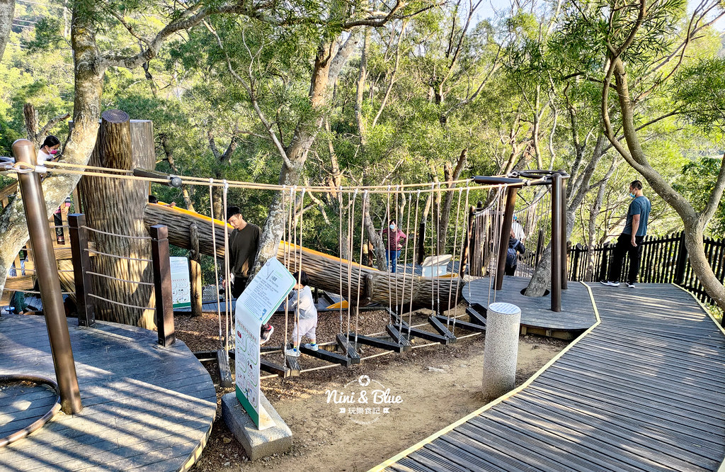 大坑8號步道 風動石公園森林體驗42