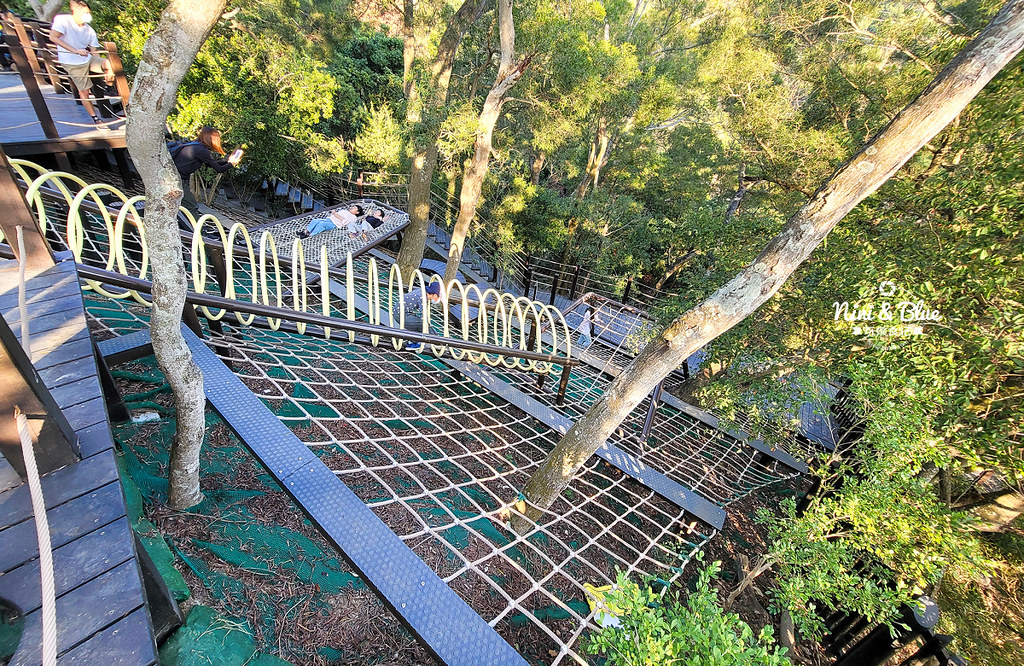 大坑8號步道 風動石公園森林體驗03