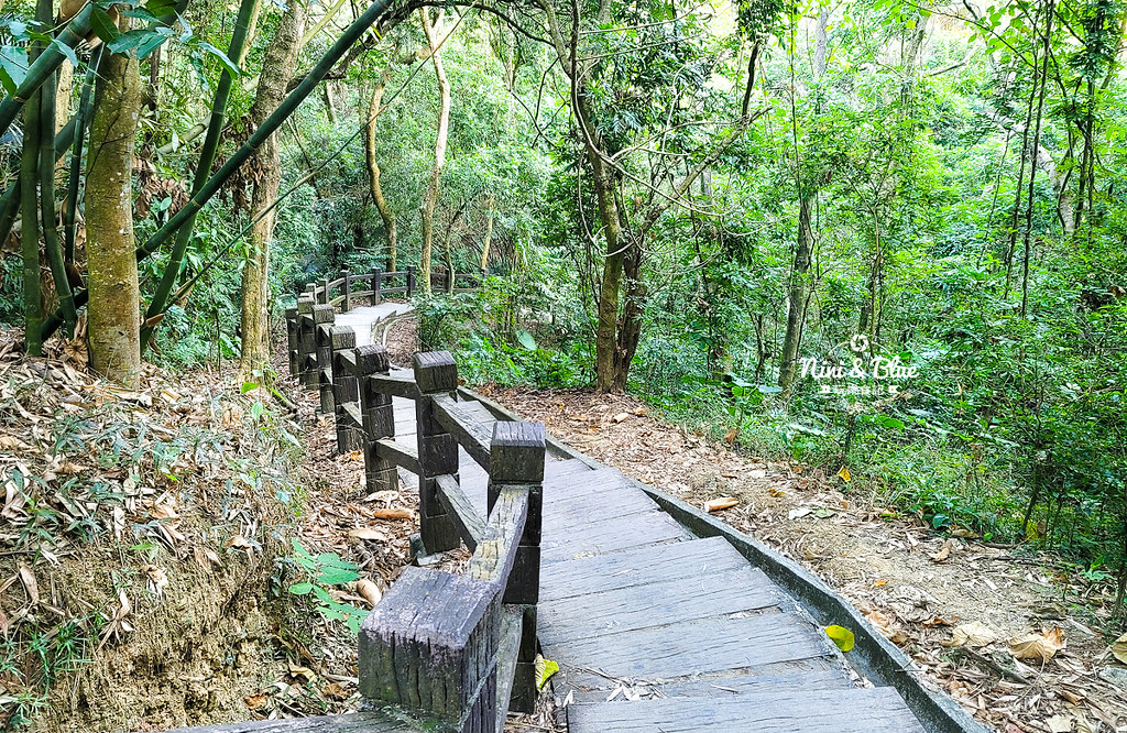大坑8號步道 風動石公園森林體驗06