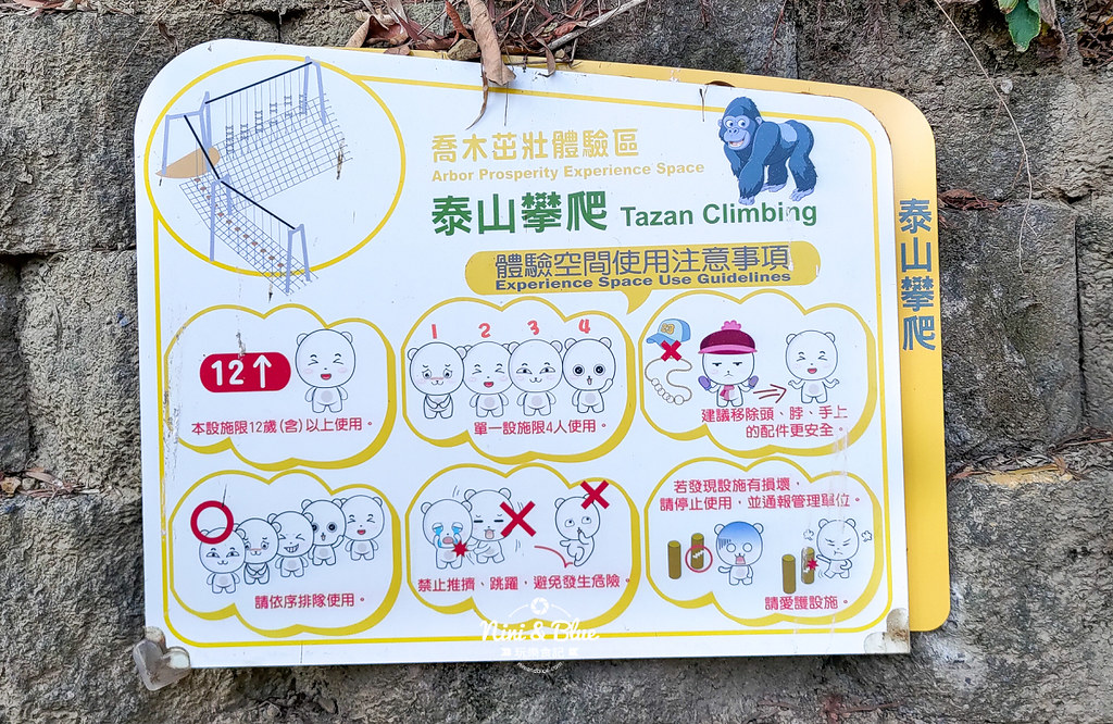 大坑8號步道 風動石公園森林體驗36