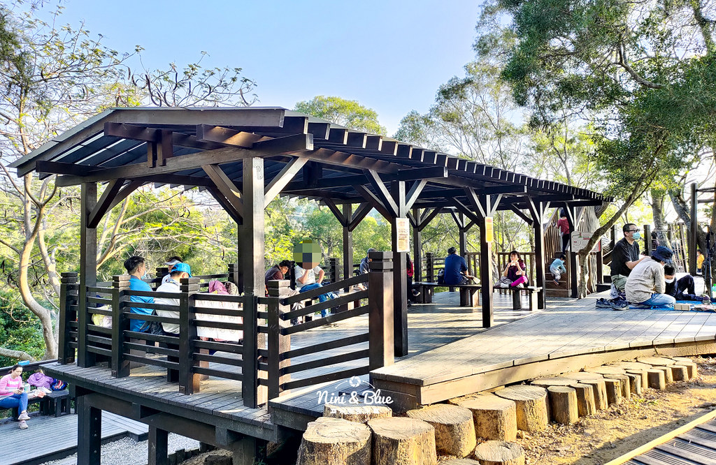 大坑8號步道 風動石公園森林體驗34