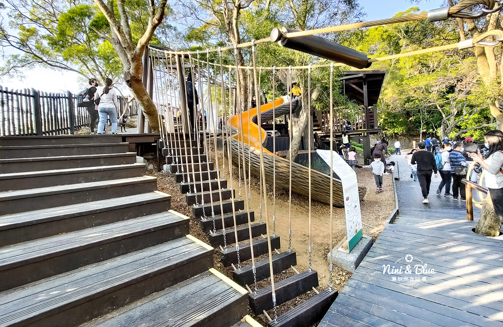 大坑8號步道 風動石公園森林體驗29