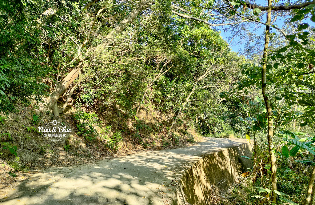 大坑8號步道 風動石公園森林體驗16