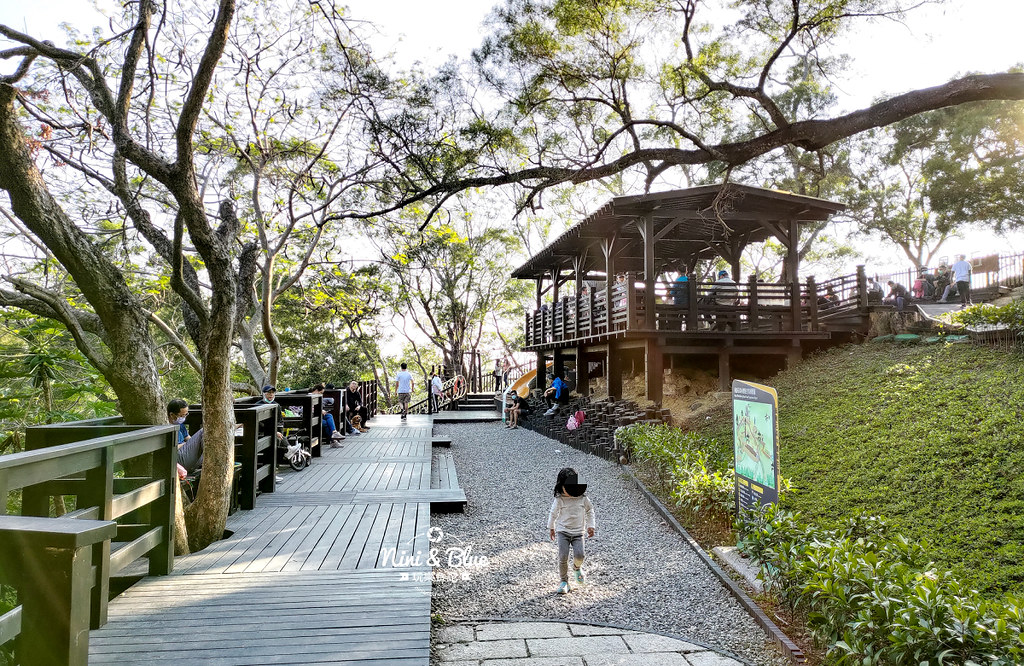 大坑8號步道 風動石公園森林體驗37