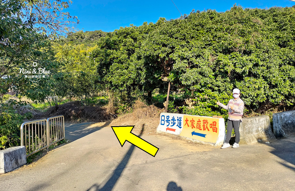 大坑8號步道 風動石公園森林體驗13