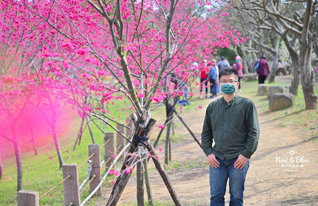 中科崴立櫻花公園 台中賞櫻花景點10