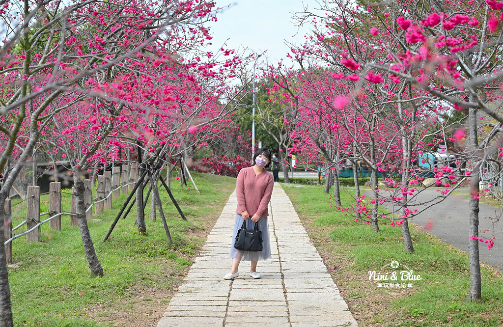 中科崴立櫻花公園 台中賞櫻花景點04