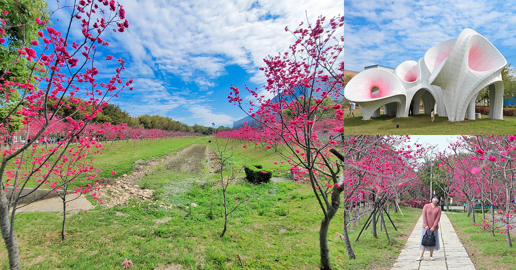 中科崴立櫻花公園 台中賞櫻花景點