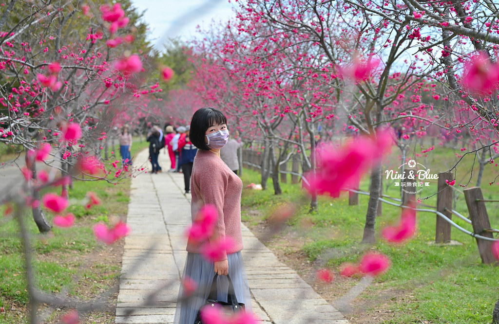 中科崴立櫻花公園 台中賞櫻花景點05