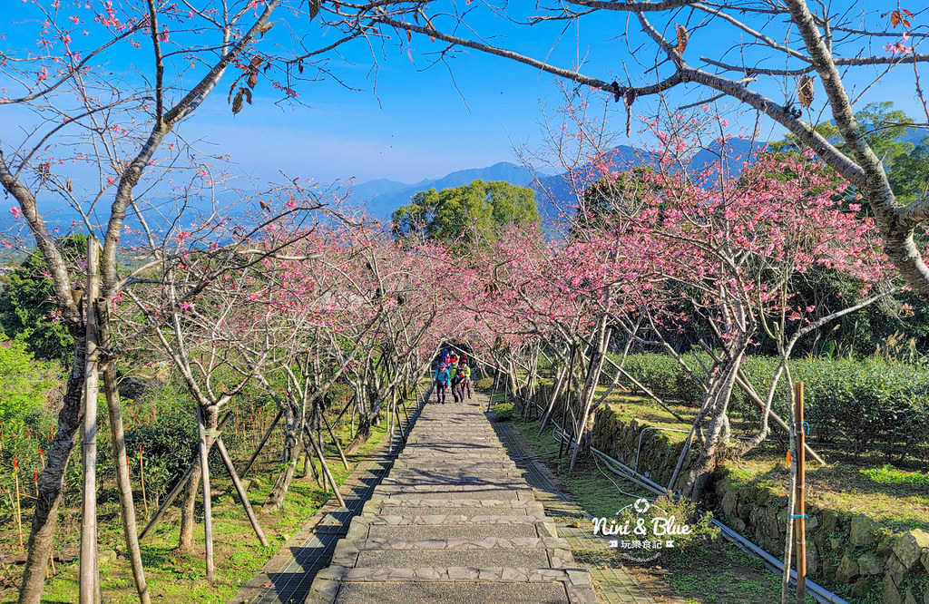 台大實驗林鳳凰自然教育園區 鳳凰谷鳥園08